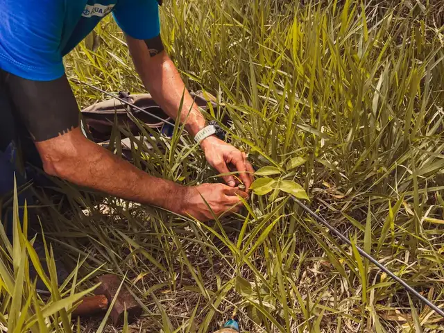 Técnico cravando um eletrodo no solo